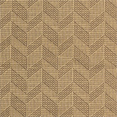 Cayuga Hickory